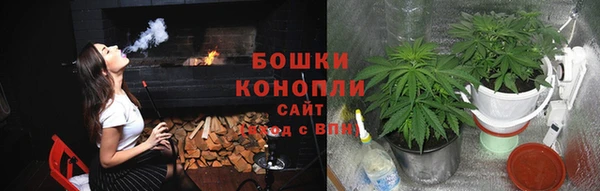 гашик Мегион
