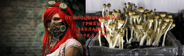 мдма Михайловка