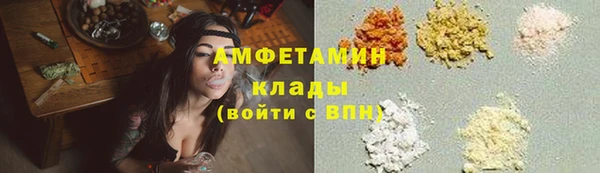 гашик Мегион