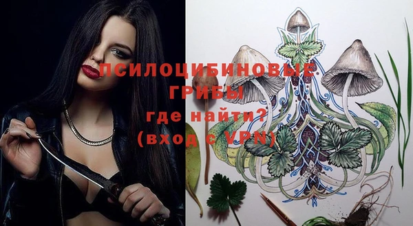 метадон Медногорск