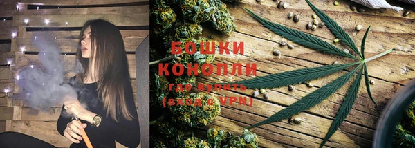 гашик Мегион