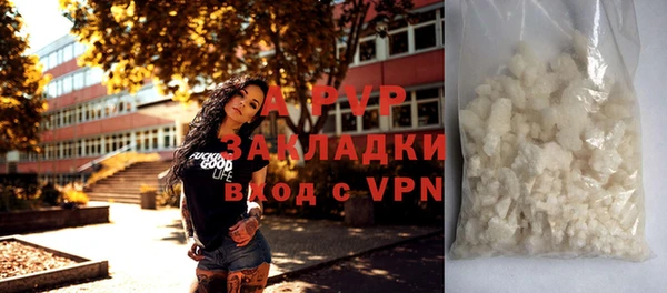 гашик Мегион