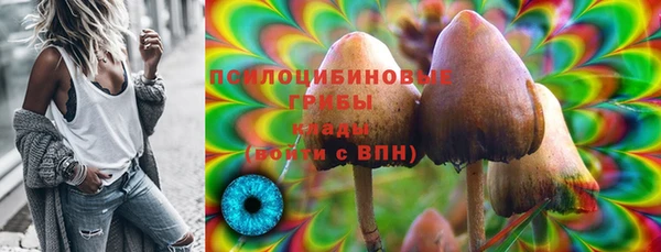 ПСИЛОЦИБИНОВЫЕ ГРИБЫ Белая Калитва