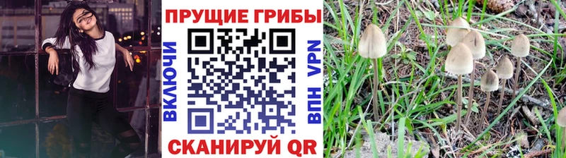 Галлюциногенные грибы Psilocybe  даркнет сайт  kraken как войти  Инта 