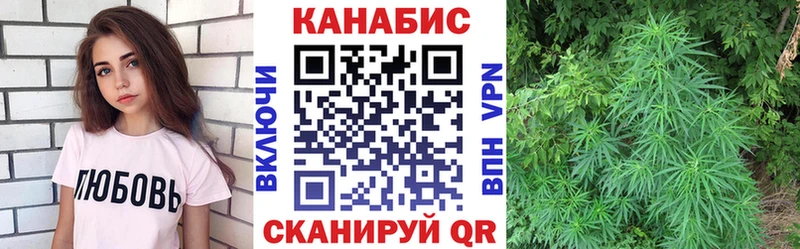 Каннабис гибрид Инта